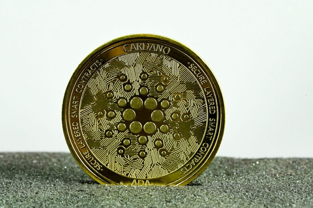 What The New Mightnight Launch Means For The Cardano Network